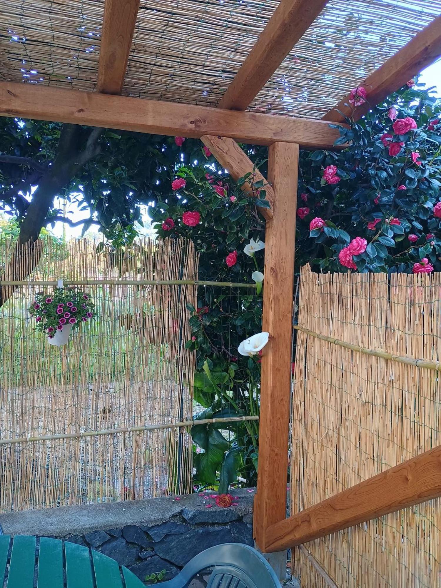 La Casa Dei Due Aranci Villa Albisola Superiore Luaran gambar